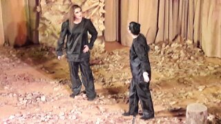 Τα μάγια της πεταλούδας