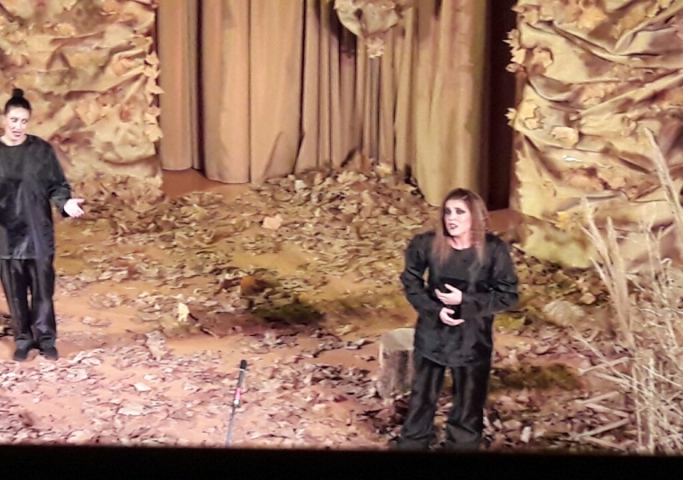 ΠAΡΑΣΤΑΣΗ (46)